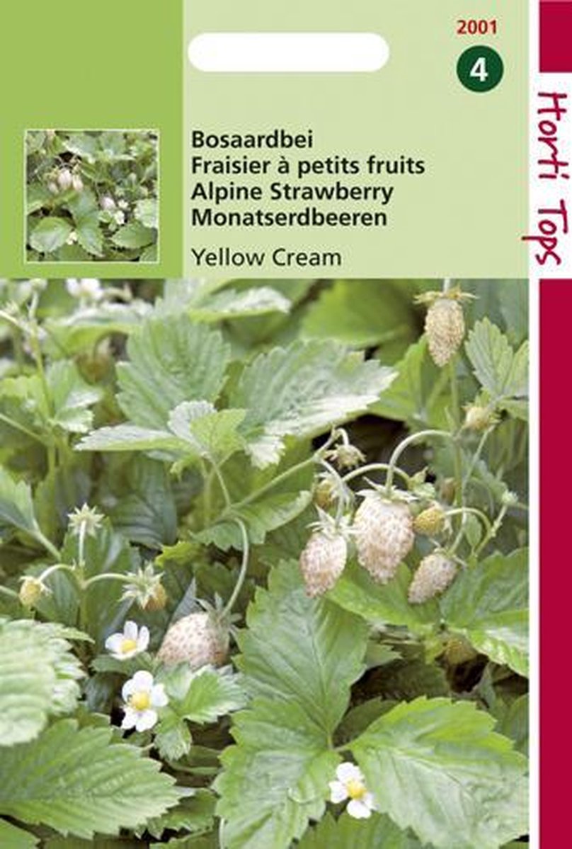  Hortitops Zaden - Aardbeien Yellow Cream