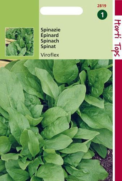  Hortitops Zaden - Spinazie Winterreuzen 15 Gram