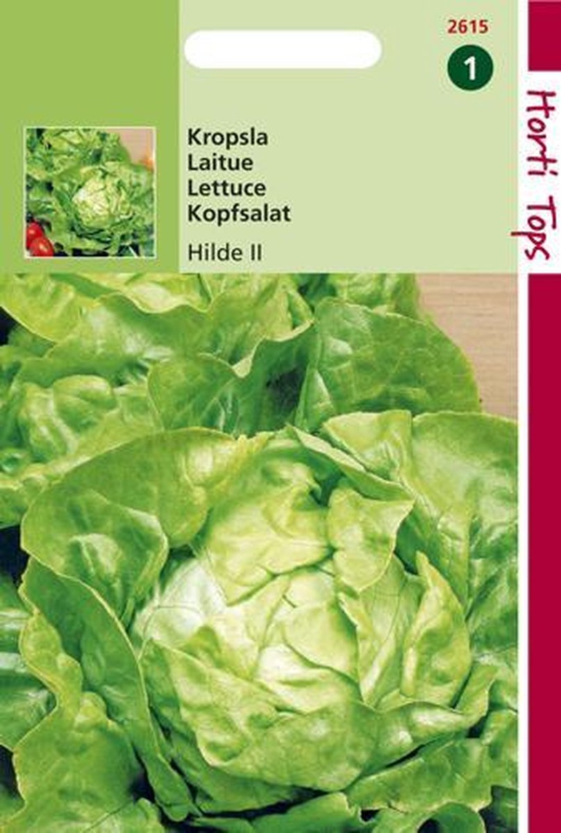  Hortitops Zaden - Kropsla Hilde, Verb. Attractie