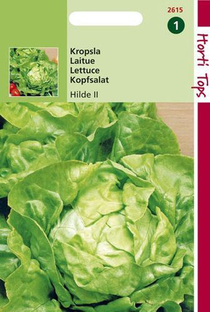  Hortitops Zaden - Kropsla Hilde, Verb. Attractie