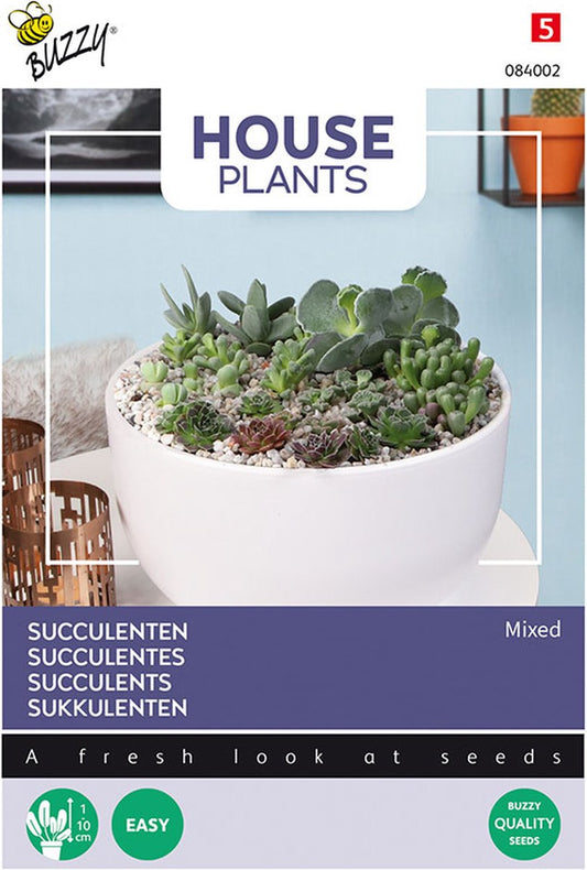  Buzzy House Plants - Kamerplantzaden - Succulenten, Vetplanten - Gemengd