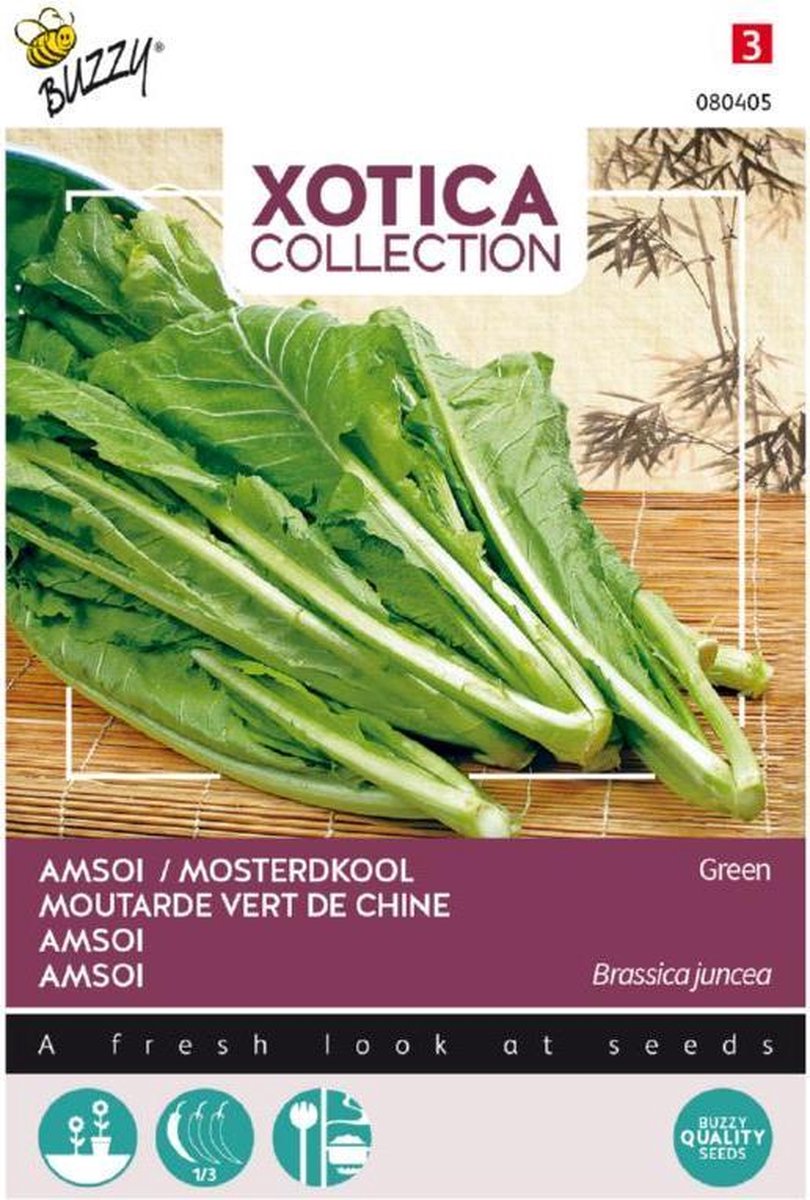  Xotica Amsoi Mung Choi