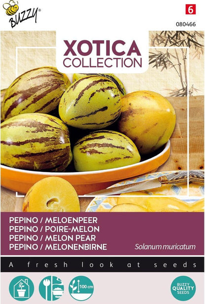  Xotica Pepino