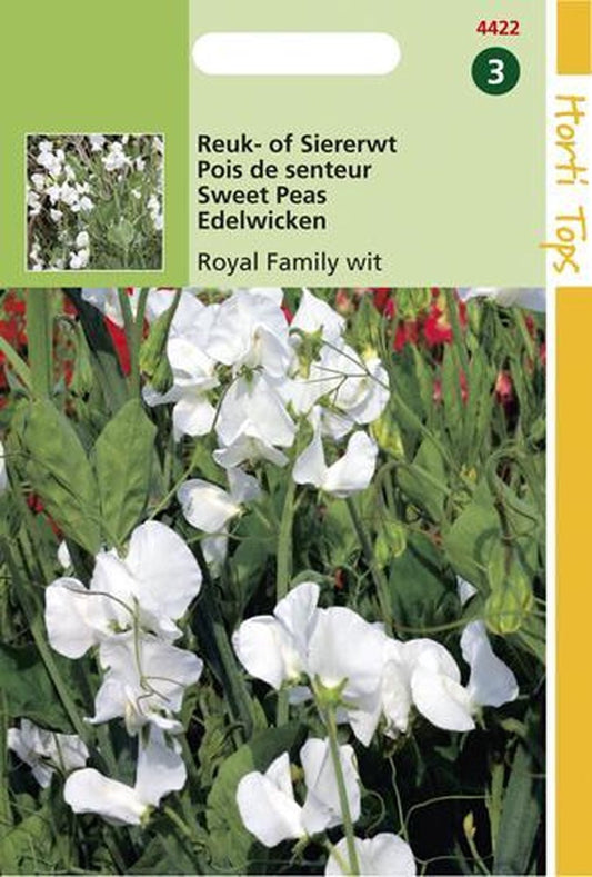  Hortitops Zaden - Lathyrus Odor. Royal Family Wit