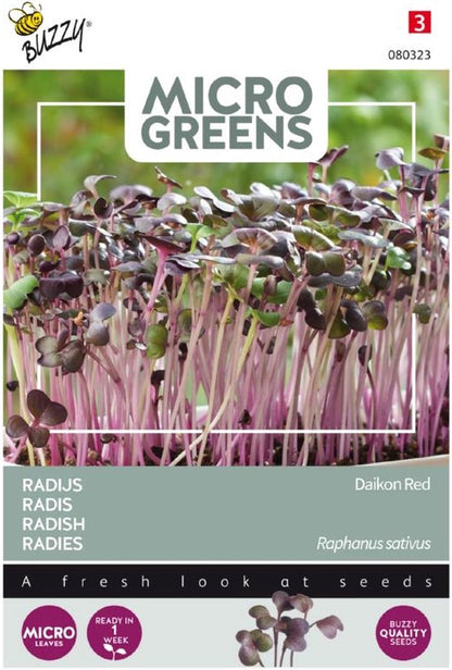  Buzzy® Microgreens, Radijs Rode Daikon