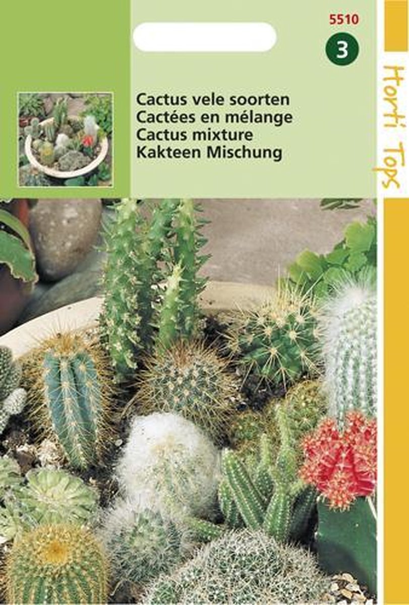  Hortitops Zaden - Cactus All-Round Mengsel