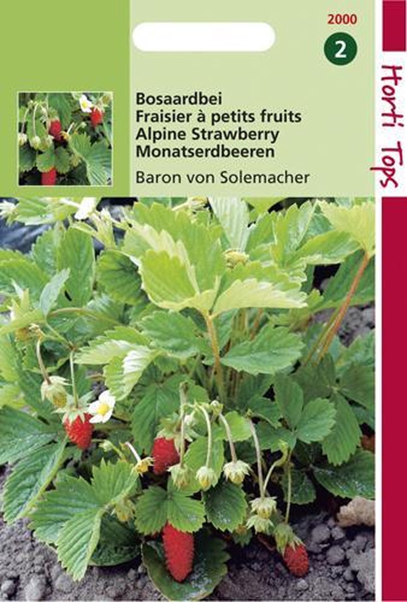  Hortitops Zaden - Aardbeien Baron Van Solemacher (Rygen)
