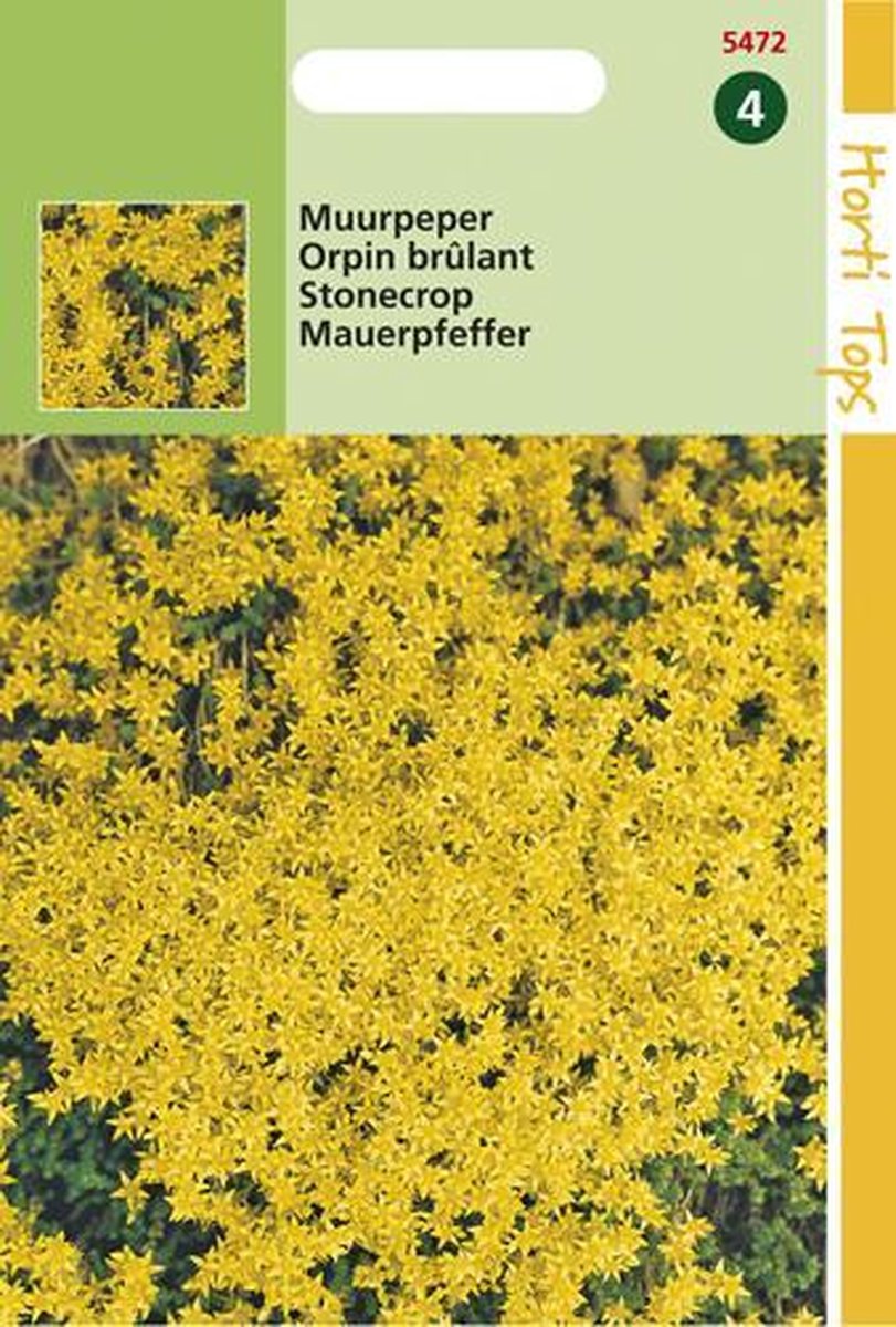  Hortitops Zaden - Muurpeper Bloemzaad - Sedum Acre - Geel