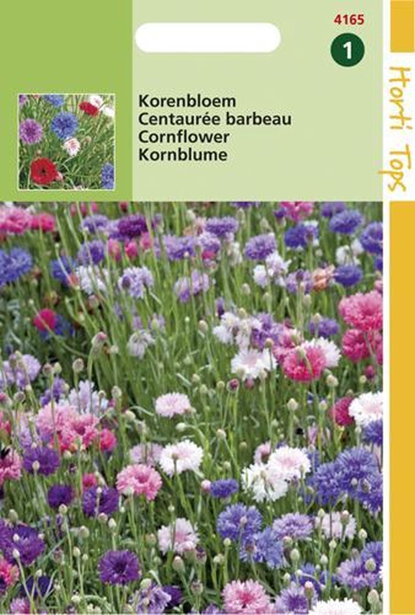  Hortitops - Korenbloem Bloemzaad - Dubbelbloemig - Gemengdd