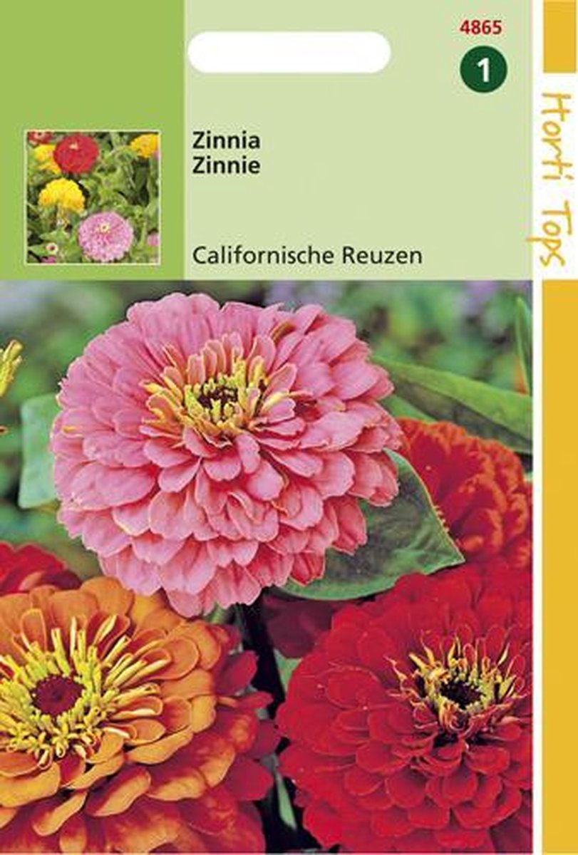  Hortitops Zaden - Zinnia Californische Reuzen Gemengd
