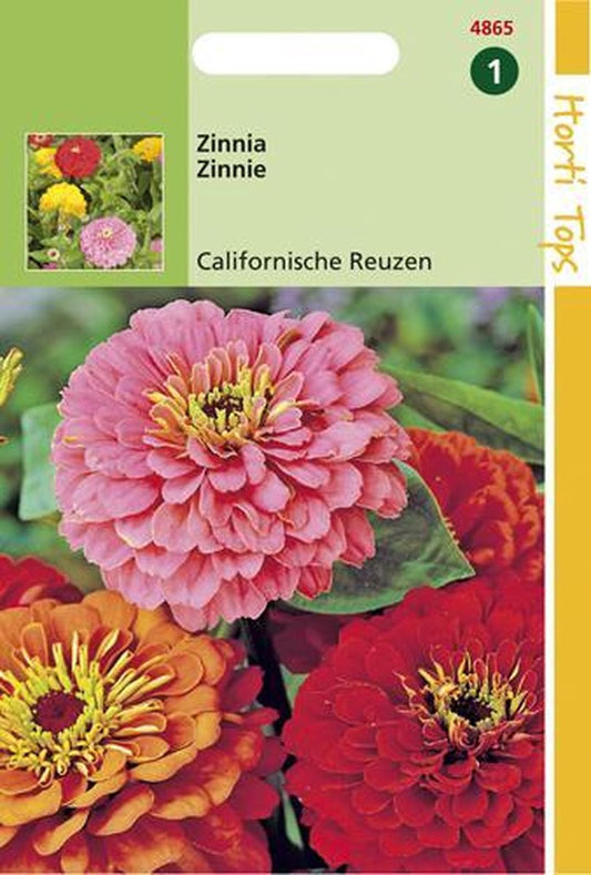  Hortitops Zaden - Zinnia Californische Reuzen Gemengd