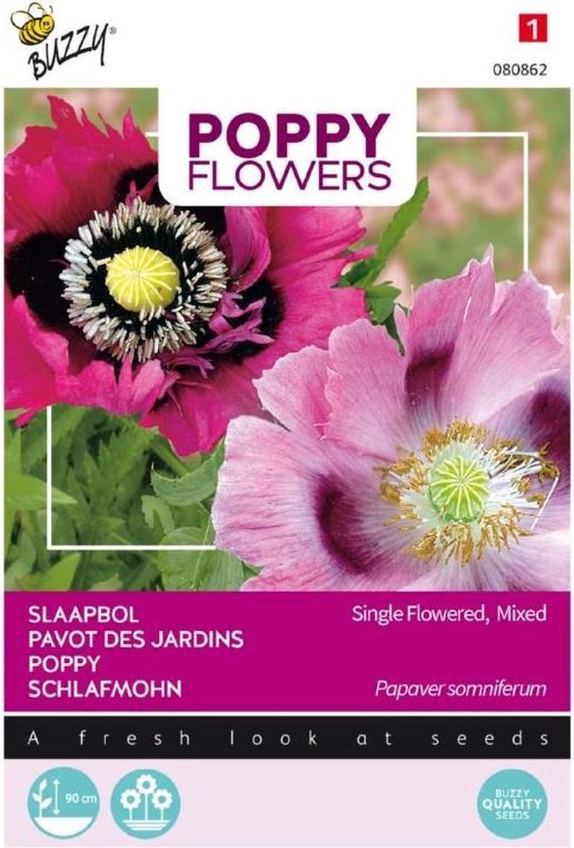  Buzzy® Poppies Of The World - Papaver Slaapbol