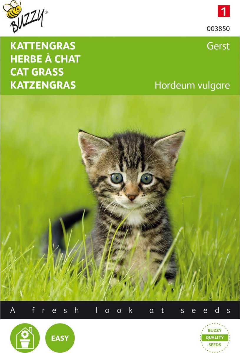  Buzzy Zaden - Kattengras Gerst - 10 Gram