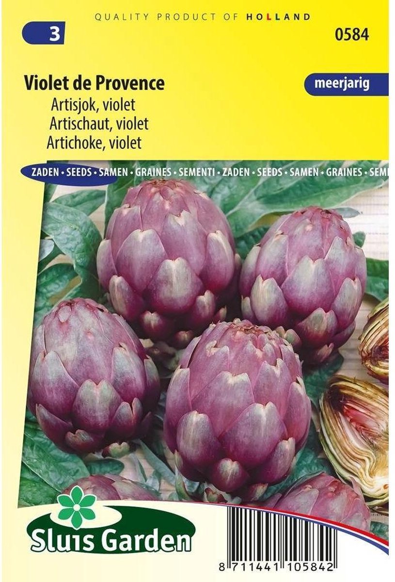  Sluis Garden - Artisjok Violet De Provence
