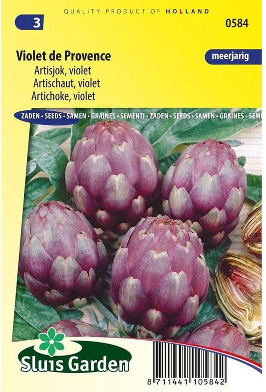  Sluis Garden - Artisjok Violet De Provence