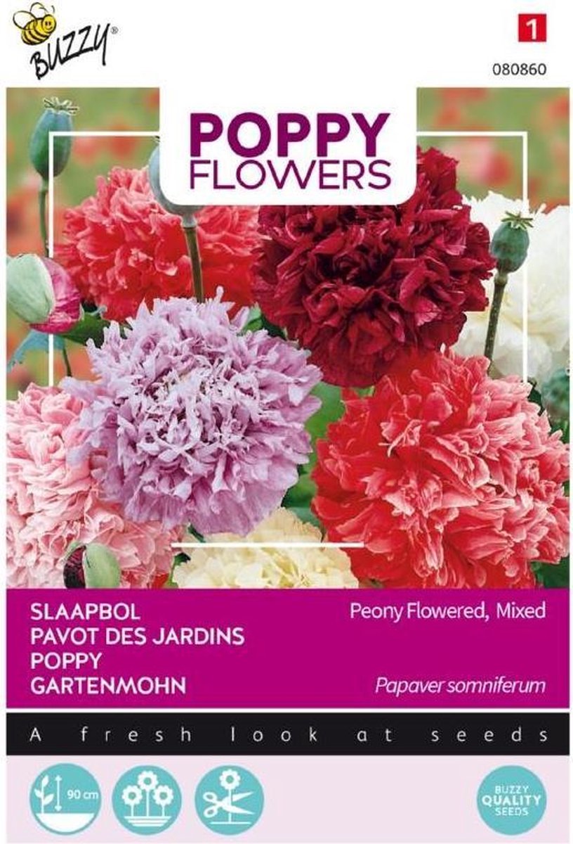  Buzzy® Poppies Of The World - Papaver Pioenbloemig