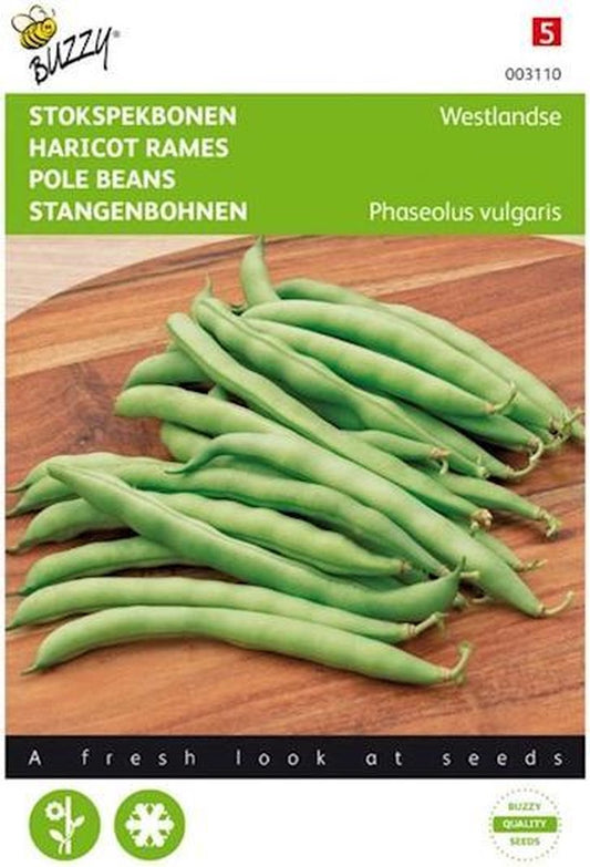  Hoge Sperzieboon/ Stokslaboon Westlandse Dubbele Tros 25 Gram