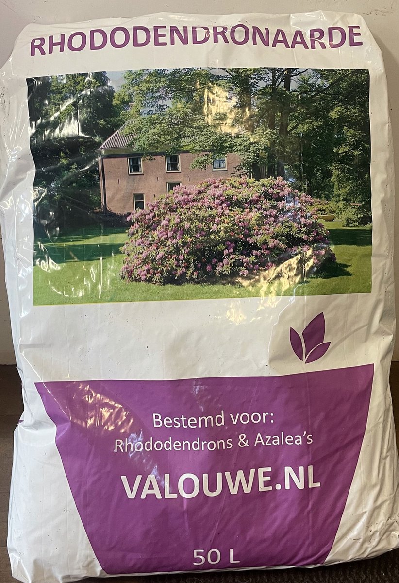  Rhododendron Box - 40 Stuks - Wit - 40/60 Cm Hoog - Incl. 8 Zakken Tuinturf 50L - Rhododendron 'cunningham's White' -