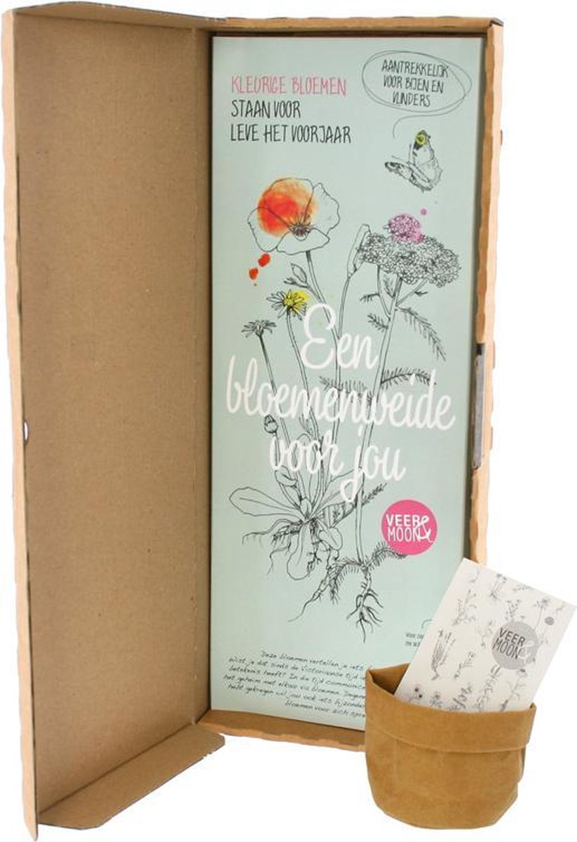  Zaden Bloemenweide | Uniek Brievenbus Cadeau | BloomPost