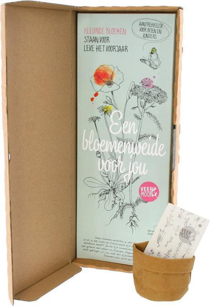  Zaden Bloemenweide | Uniek Brievenbus Cadeau | BloomPost