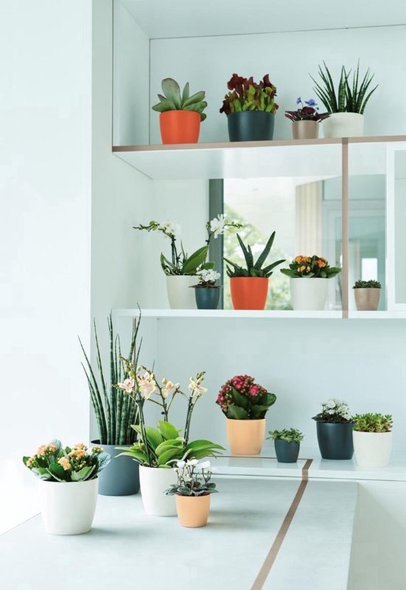  Elho B.for Soft Rond 35 - Bloempot Voor Binnen - Ø 34.5 X H 32.3 Cm - Antraciet