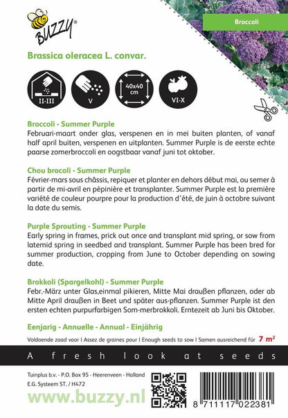  Buzzy® Broccoli Summer Purple