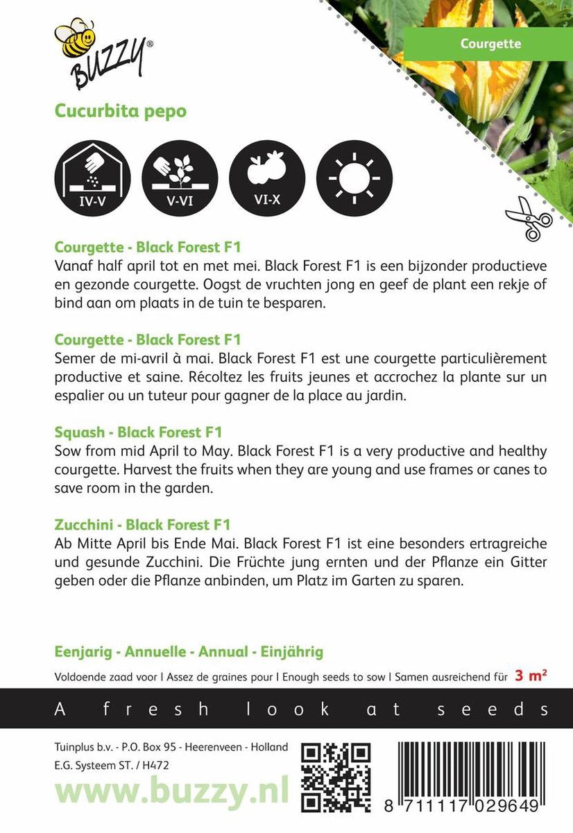  Buzzy® Courgette Klimmend Black Forest F1