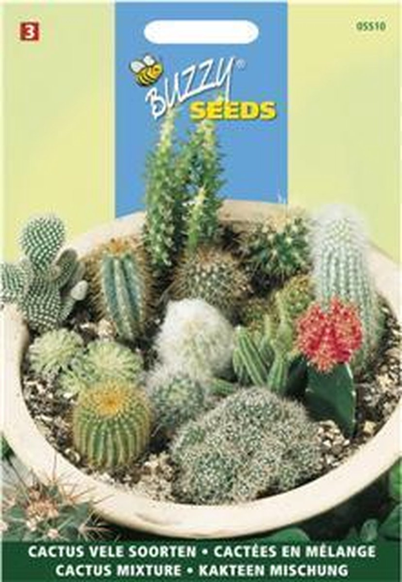  Buzzy - Cactus All Round Mengsel