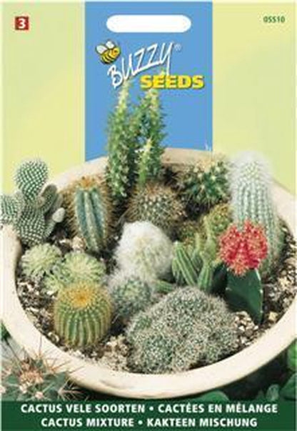  Buzzy - Cactus All Round Mengsel
