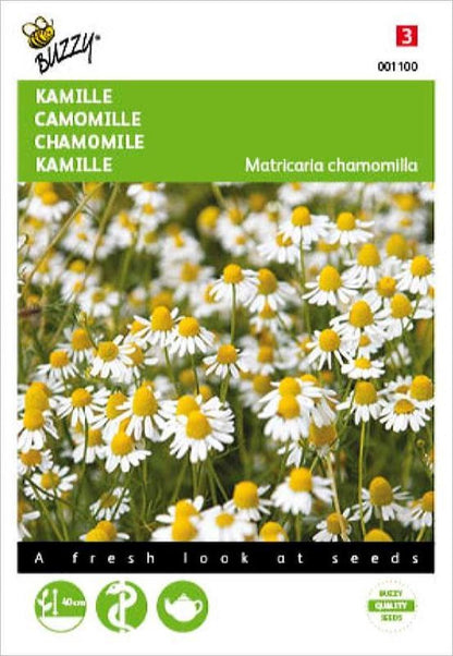  Buzzy Zaden - Kamille - Matricaria Chamomilla
