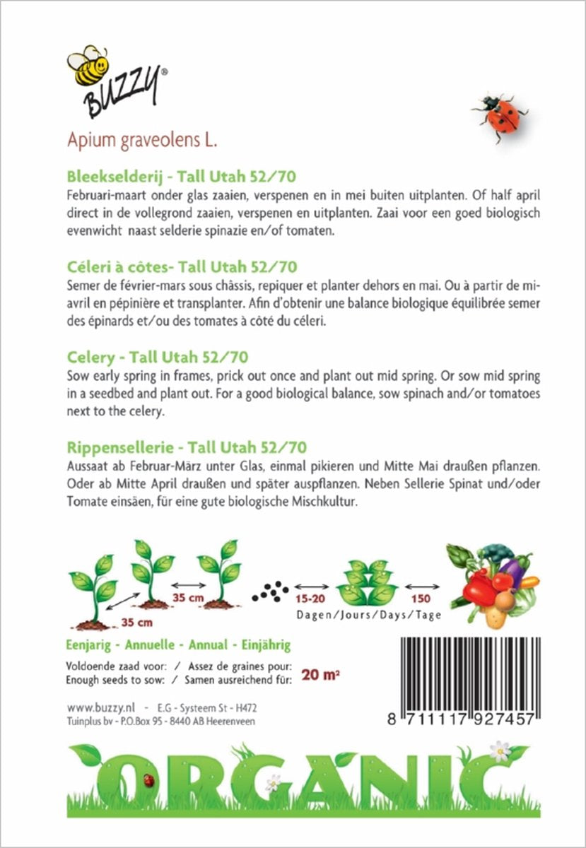  Buzzy Organic - Bleekselderij Tall Utah 52/70 (BIO)