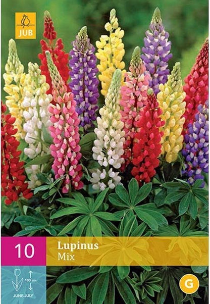  Garden Select - Lupine / Lupinus Mix - 10 Planten - Vaste Plant - Gemengde Kleuren - Winterhard