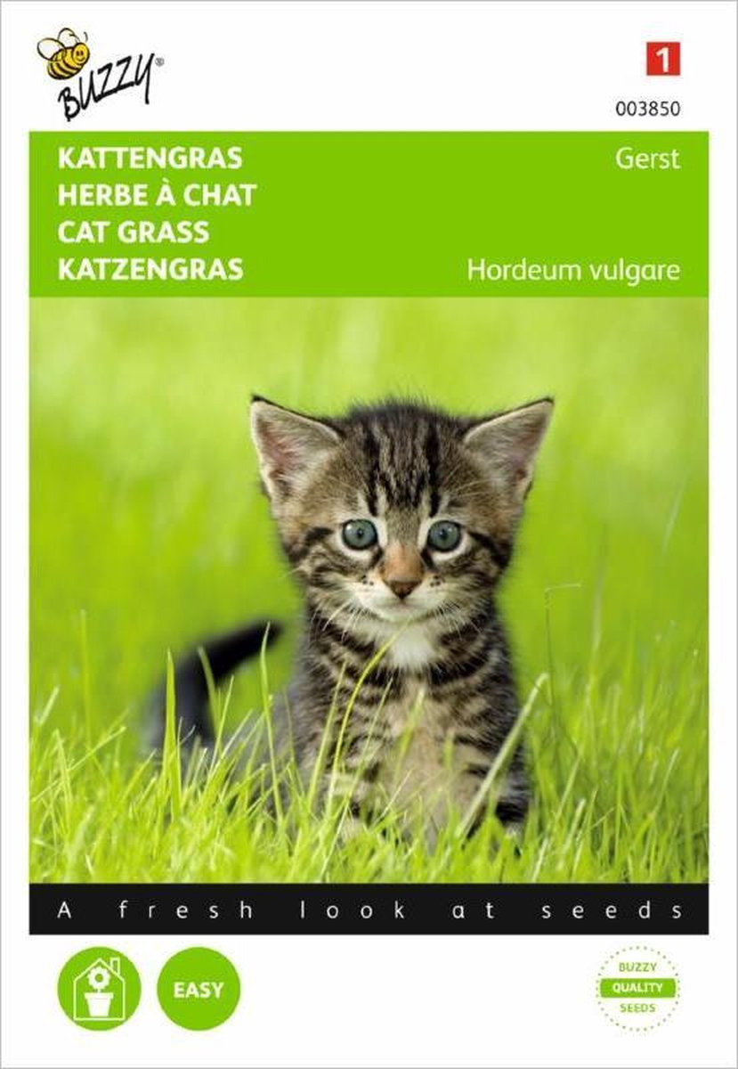  Buzzy Zaden - Kattengras Gerst - 10 Gram