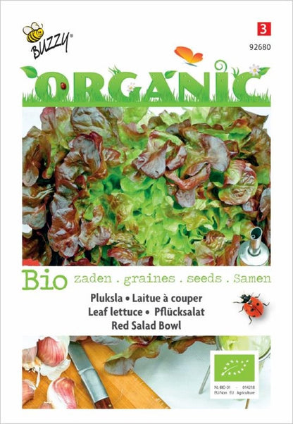  Buzzy® Organic Pluksla Red Salad Bowl (BIO)