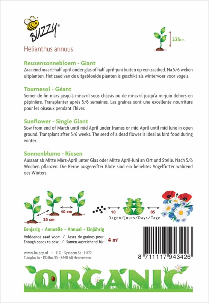  Buzzy® Organic Zonnebloem Giganteus (BIO)