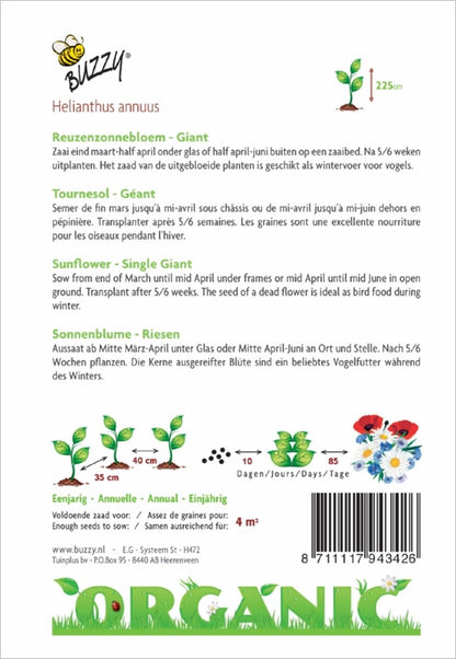  Buzzy® Organic Zonnebloem Giganteus (BIO)