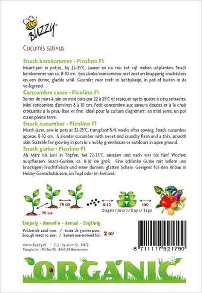  Buzzy® Organic Snackkomkommer Picolino (BIO)