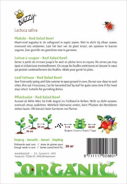  Buzzy® Organic Pluksla Red Salad Bowl (BIO)
