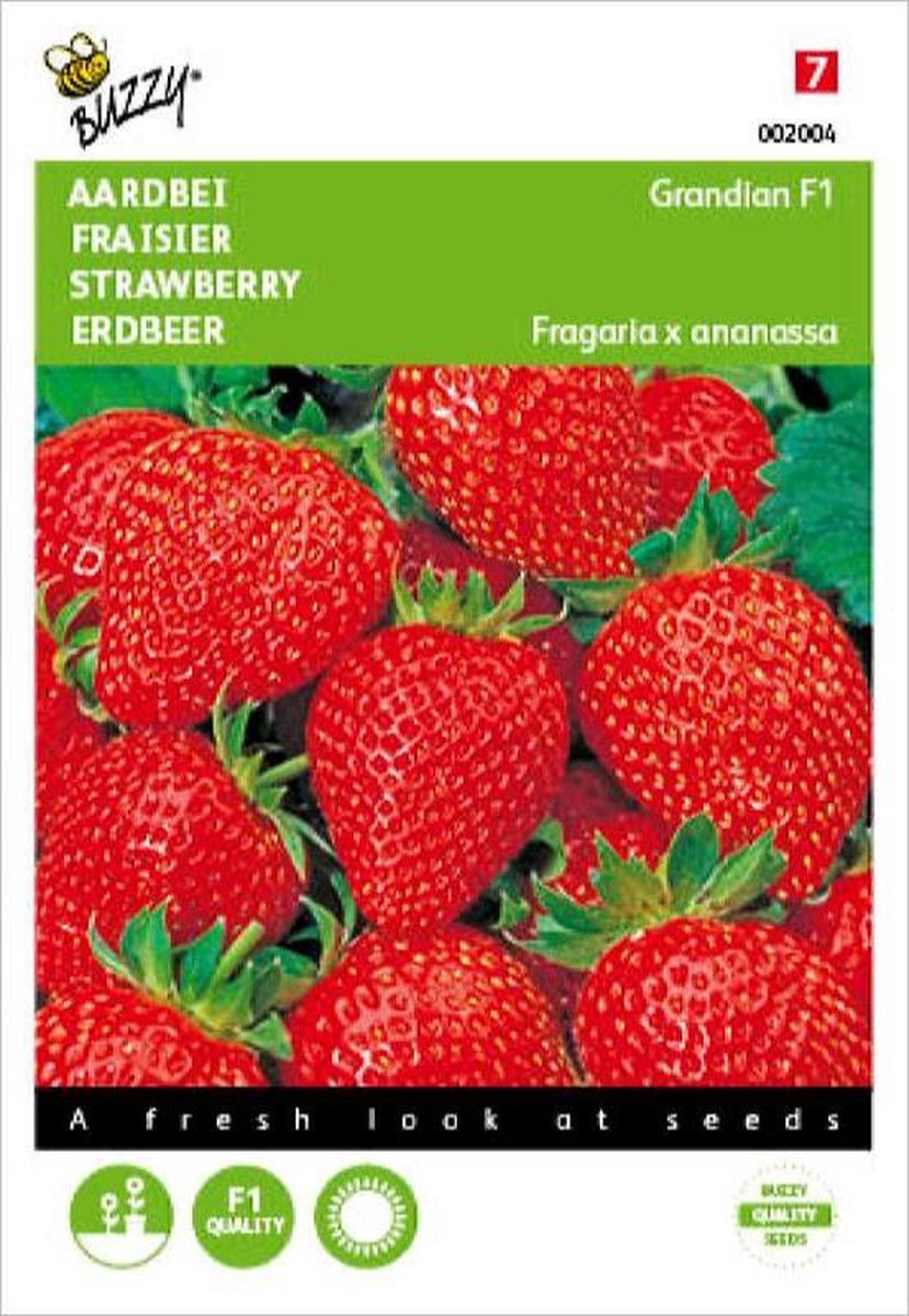  Buzzy® Aardbeien Grandian F1