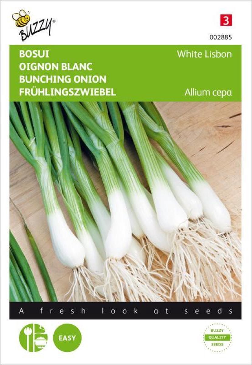  Buzzy Zaden - Bosuien White Lisbon (Allium)