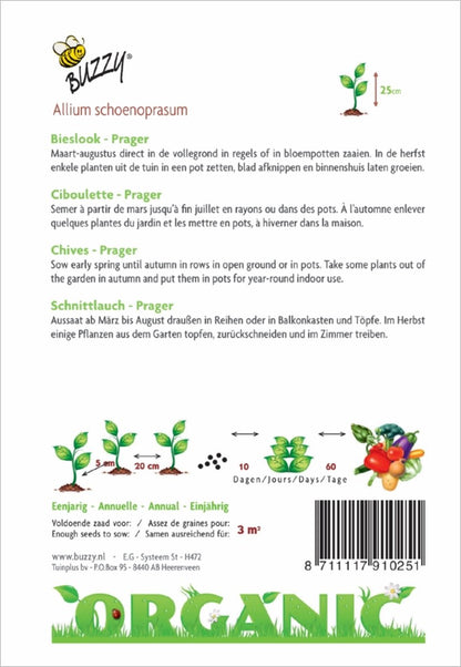  Buzzy® Organic Bieslook Prager (BIO)