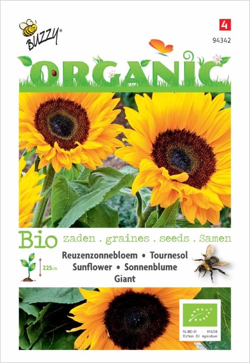  Buzzy® Organic Zonnebloem Giganteus (BIO)