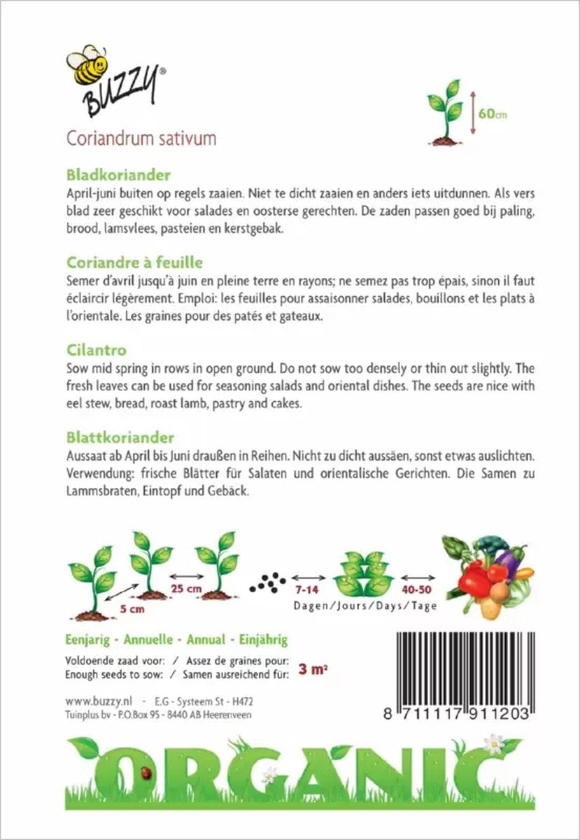  Buzzy® Organic Koriander (BIO)