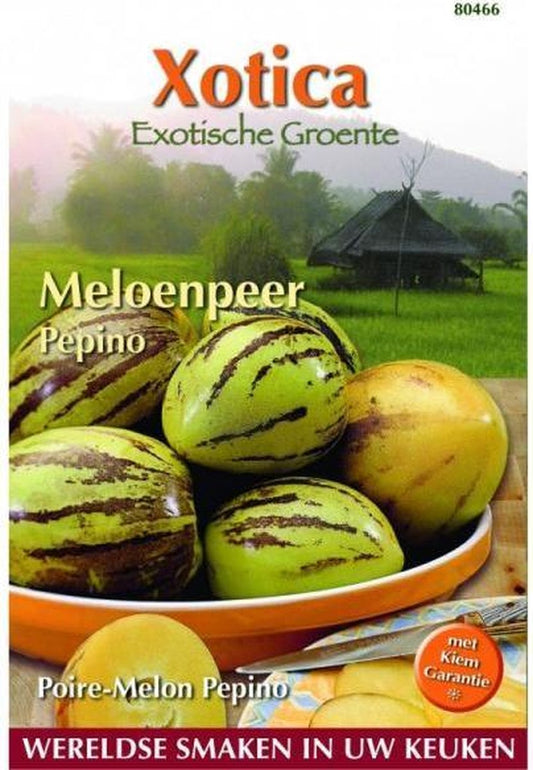  Xotica Pepino