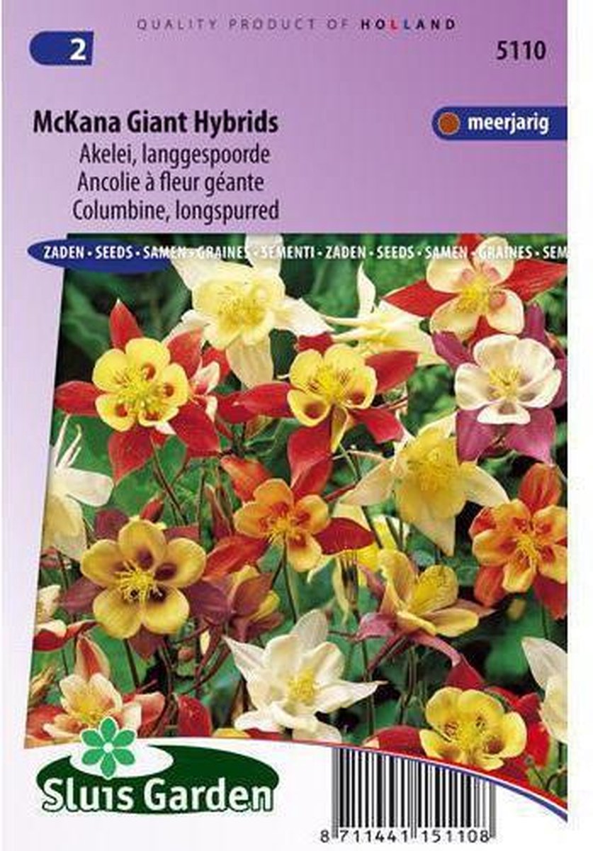  Sluis Garden - Akelei Mckana Giant Hybrids