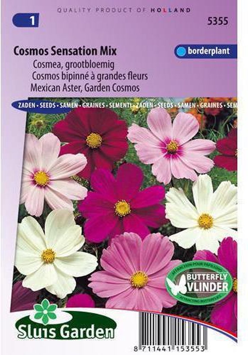  Sluis Garden - Cosmos Sensation Mixed