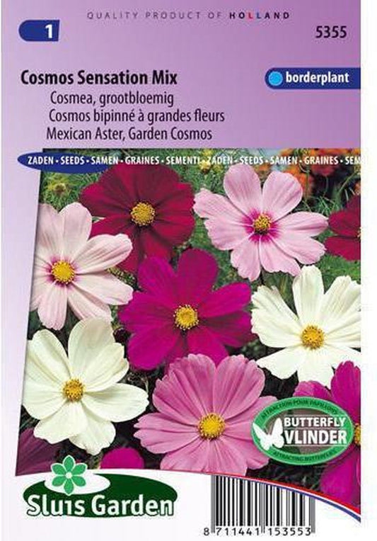  Sluis Garden - Cosmos Sensation Mixed