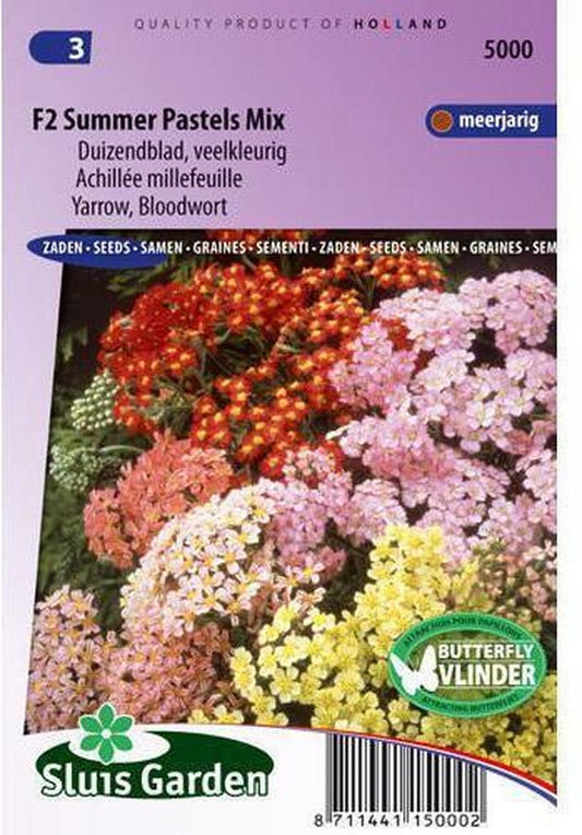  Sluis Garden - Duizendblad Summer Pastels F2 Mix (Achillea)