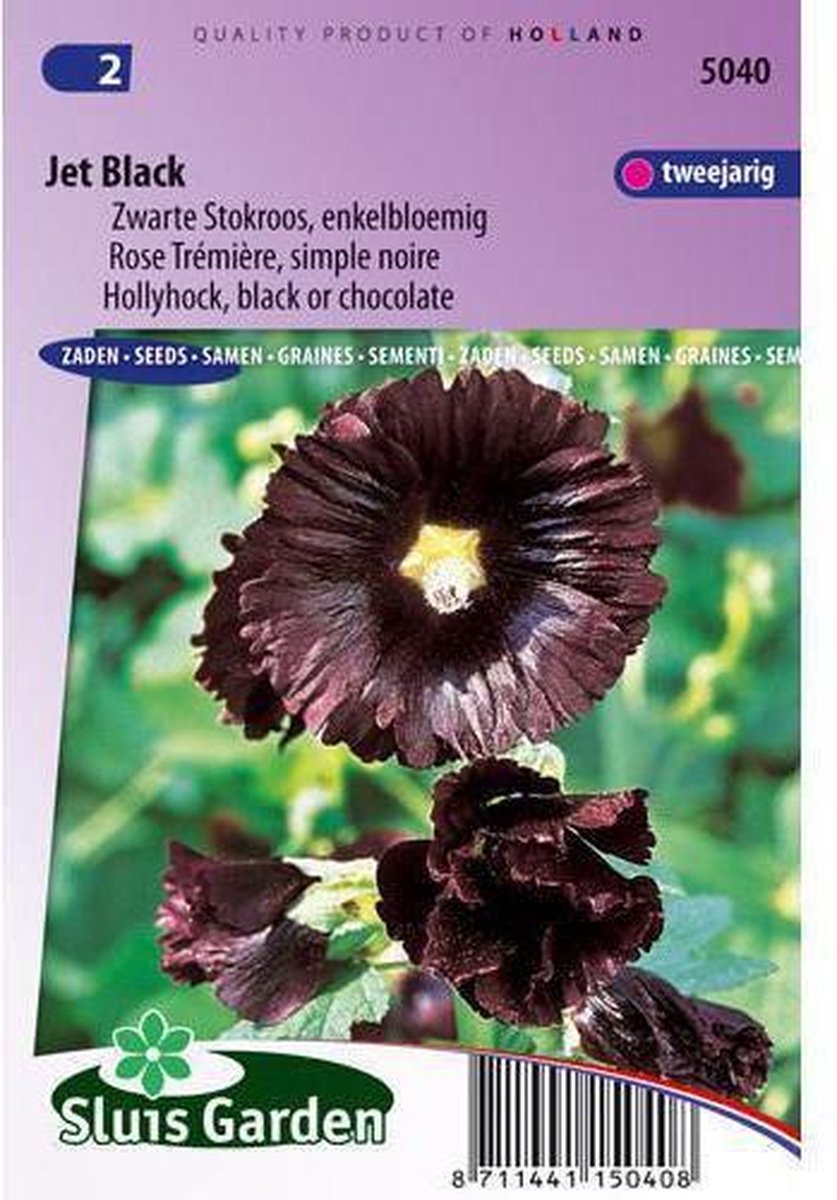  Sluis Garden - Stokroos Jet Black (Alcea Rosea)