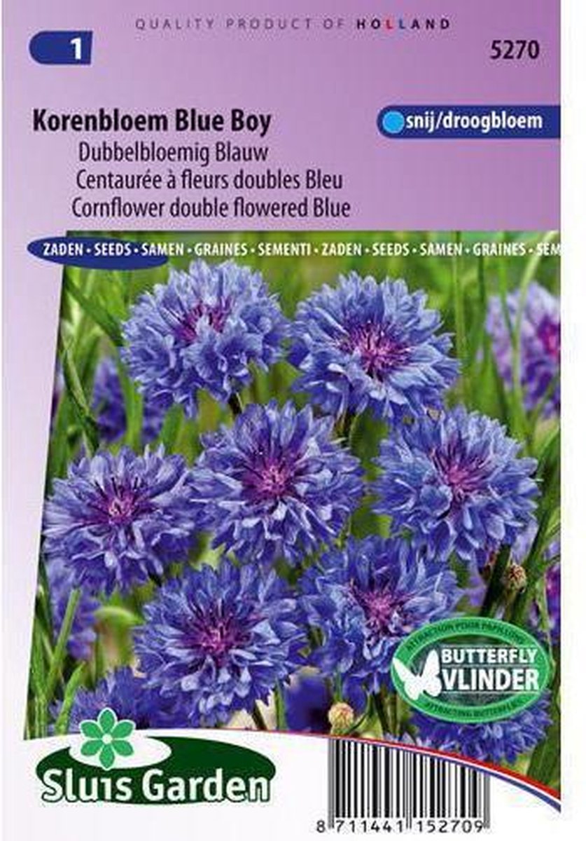  Sluis Garden - Korenbloem Blue Boy, Dubbelbloemig